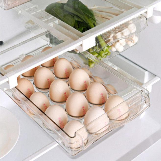 바른리빙 달걀 수납 트레이 15구, 투명, 1개