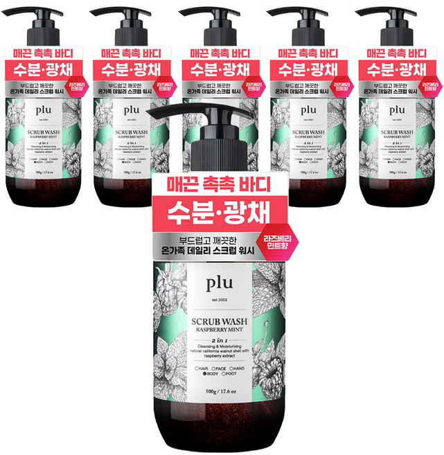 플루 데일리 스크럽 바디워시 라즈베리민트, 500g, 6개