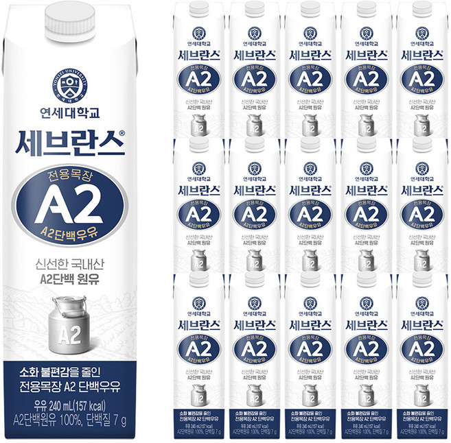 세브란스에이투 전용목장 단백우유, 240ml, 16개