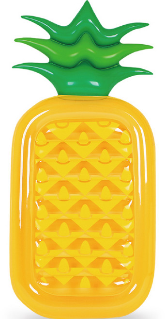 써니워터 특대형 파인애플 튜브, 1개