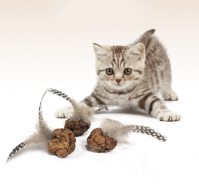 힐링타임 고양이 마따따비 깃털플라워 장난감 NH-0295, 랜덤발송, 3개