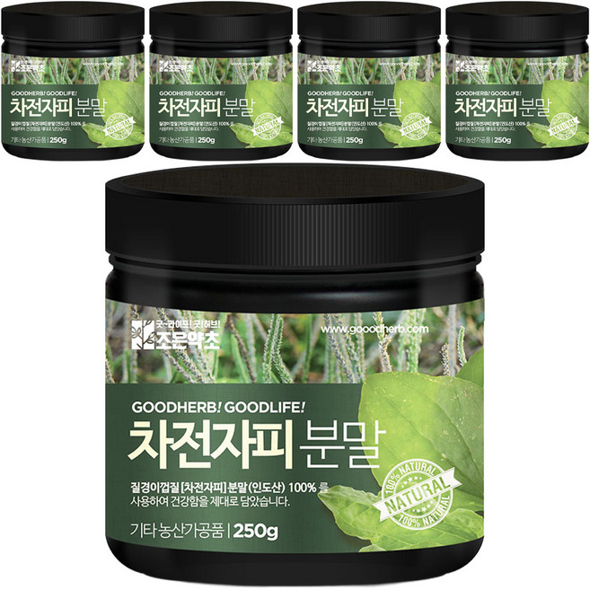 조은약초 차전자피분말, 5개, 250g