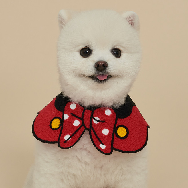 도그아이 반려동물 케이프 스카프, 리본, 1개