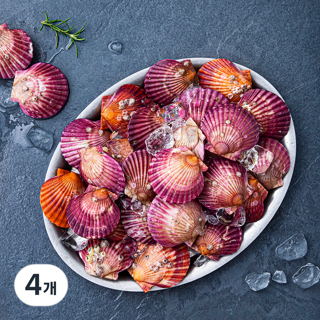 바다자리 생물 홍가리비 (냉장), 1kg, 4개