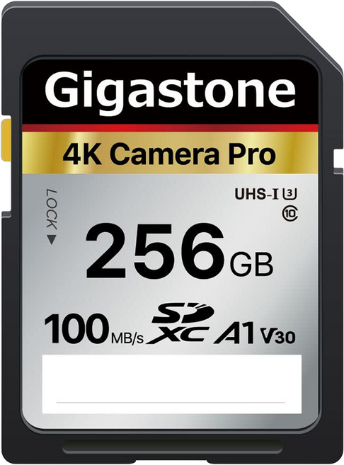 GIGASTONE 立達 SDXC SD UHS-I U3 A1V30 4K 高速記憶卡, 256GB, 1個