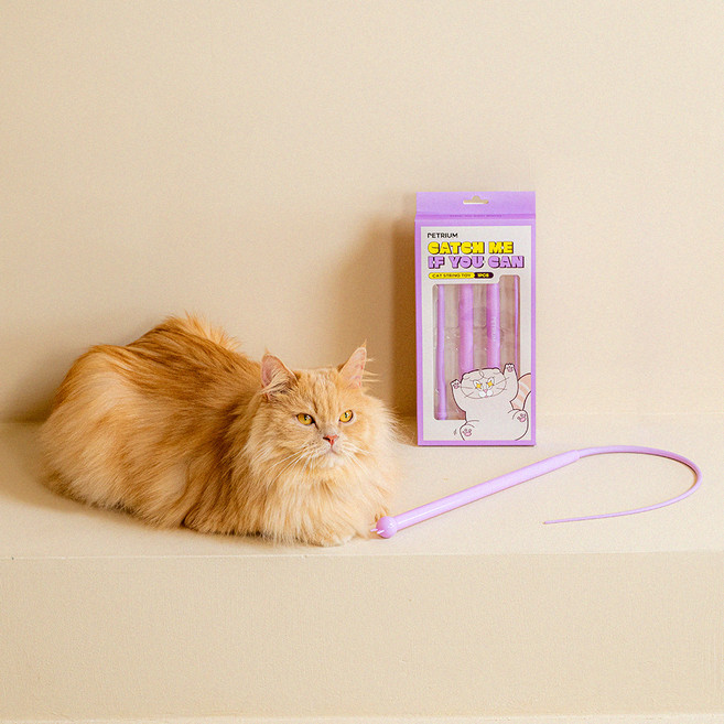펫트리움 고양이 못잡겠쥐 낚시대 장난감, 퍼플, 1개