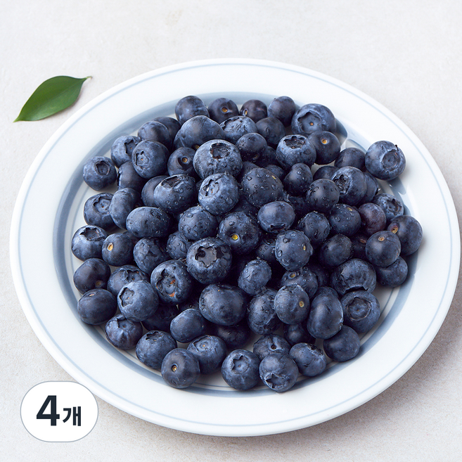 수플린 칠레산 블루베리, 4개, 500g