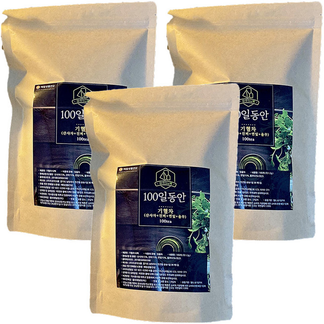 해밀생활건강 100일동안 기혈차 삼각티백, 1.2g, 100개입, 3개