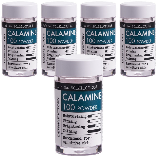 더마팩토리 칼라민 100 파우더, 6g, 5개