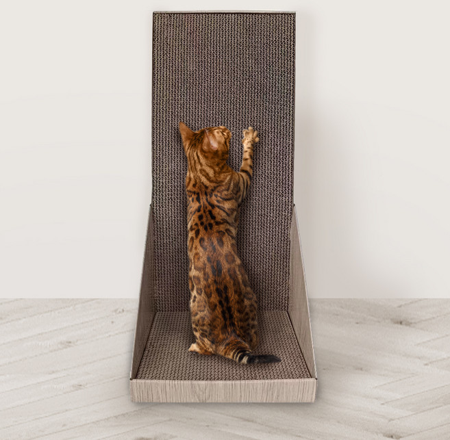 펫샵 스탠딩 벽면형 캣스크래쳐, 우드베이지, 1개