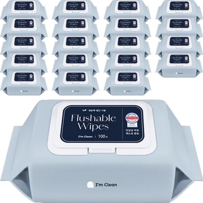 아임클린 저자극 비데 물티슈 캡형, 60g, 100매, 20개