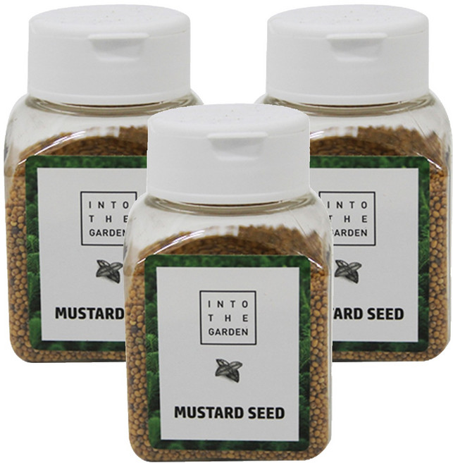 딜리셔스마켓 겨자씨, 80g, 3개