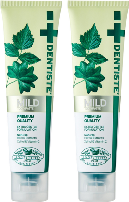 덴티스테 마일드 나이트타임 치약 튜브형, 100g, 2개