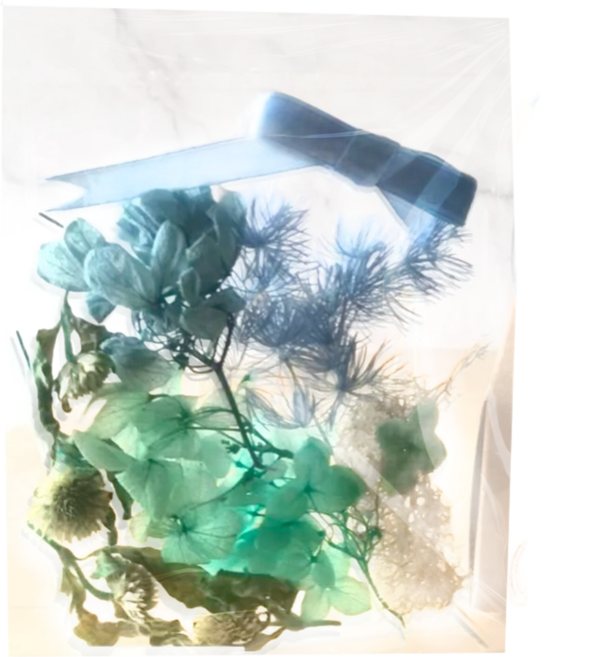 A-ONE 匯旺 浮游花DIY花材包 Set 3 天然植物乾燥花, 海藍輝影