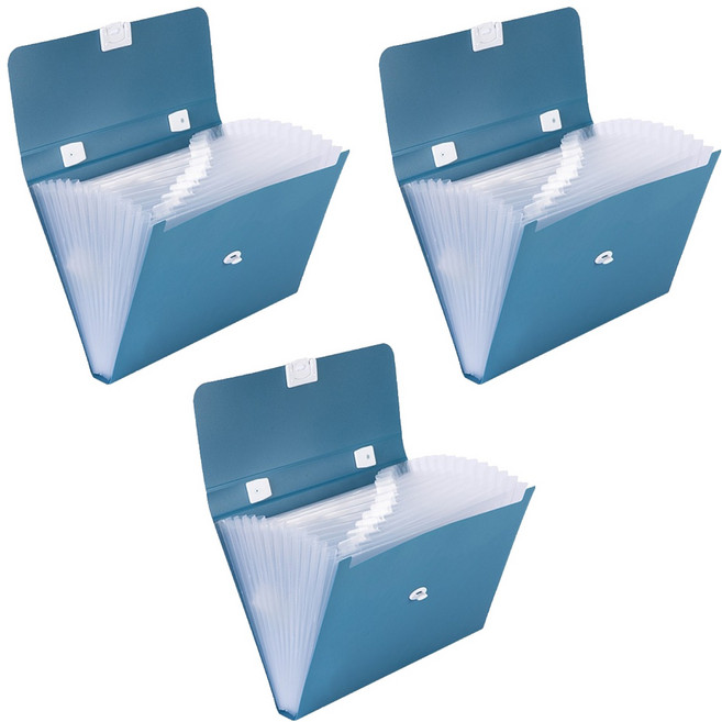 델리 아코디언 도큐먼트 파일 케이스 12분류, 블루BL, 3개