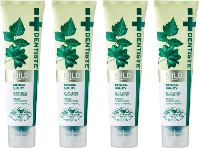 덴티스테 마일드 나이트타임 치약 튜브형, 100g, 4개