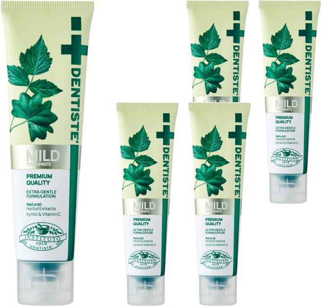 덴티스테 마일드 나이트타임 튜브형 치약, 100g, 5개