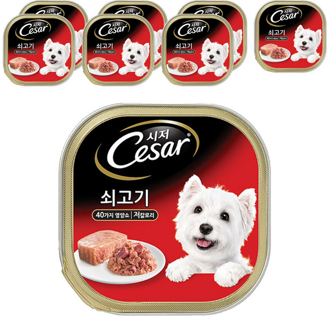 시저 1세 이상 어덜트 강아지 주식캔, 소, 100g, 8개
