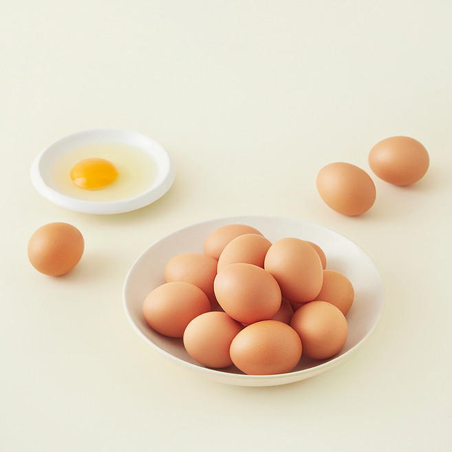 농장직송 오늘 낳은 가농 금계란 1+등급 대란 25구 1300g, 1팩