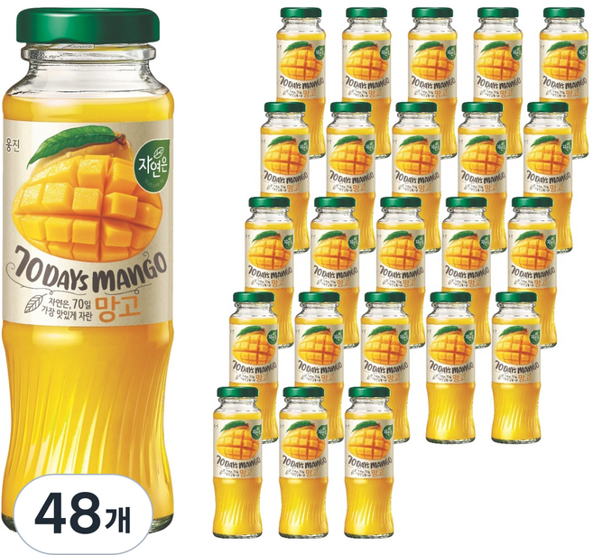 자연은 망고, 48개, 180ml