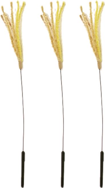 캐티맨 고양이 장난감 억새풀 소, 3개