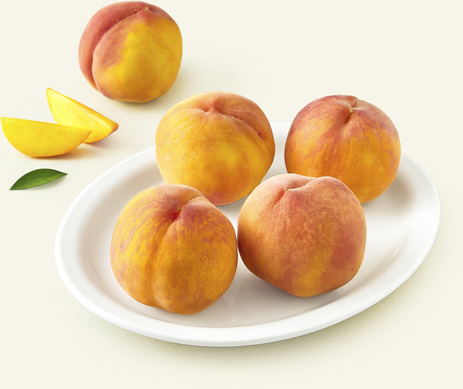 농협 유명산지 당도선별 부드러운 황도복숭아, 1.8kg(5~8입), 1박스