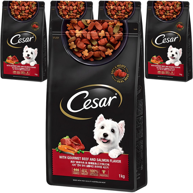 시저 어덜트 강아지 건식사료, 소, 1kg, 5개