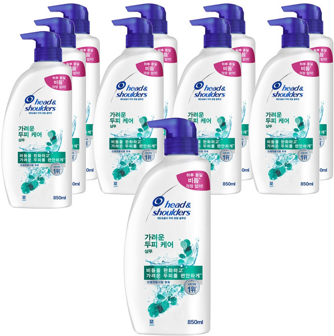 헤드앤숄더 가려운 두피 케어 샴푸, 850ml, 10개