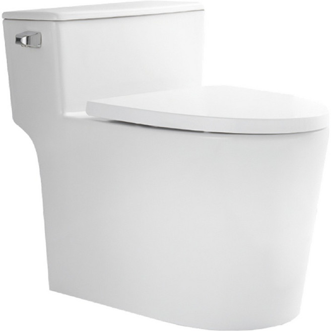 Haatz 마제스틱 원피스 양변기 WB-600 방문설치, 화이트