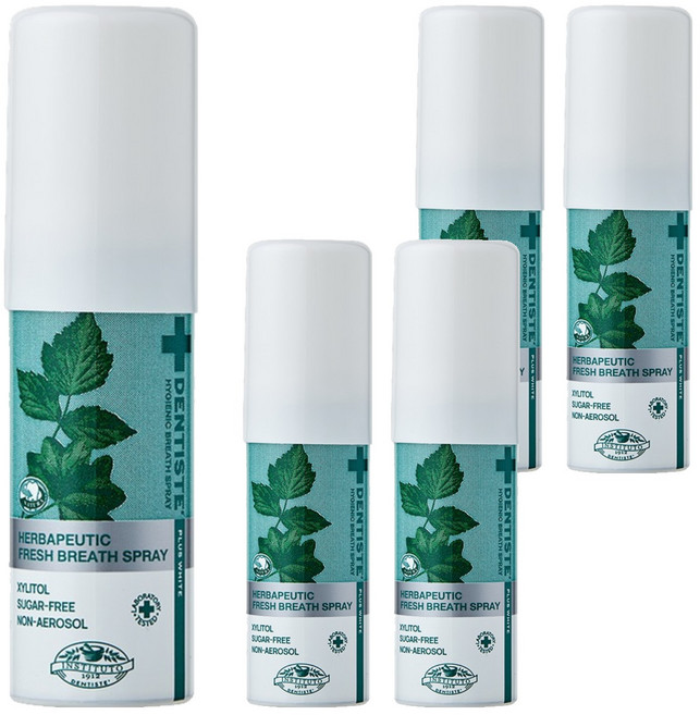 덴티스테 브레스 구강스프레이, 15ml, 5개