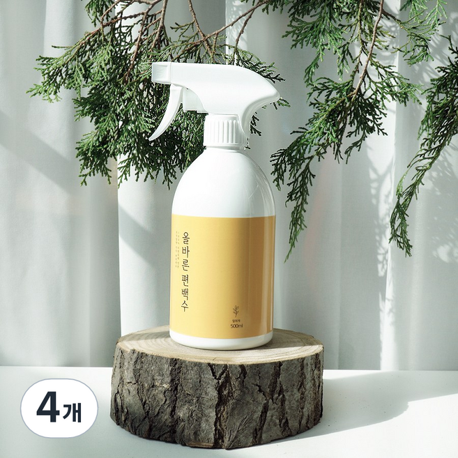 페인트인포 올바른 편백수 피톤치드 스프레이 탈취제 리필, 1L, 4개