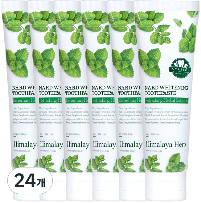 나드 미백 치약, 100g, 24개