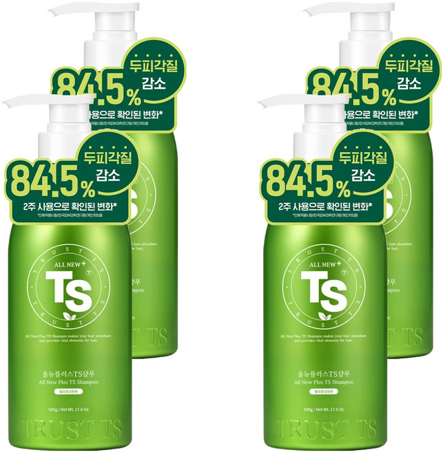 TS 올뉴 플러스 티에스 샴푸, 500g, 4개
