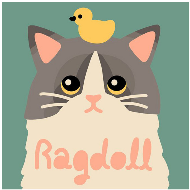 아트조이 DIY 명화그리기 20 x 20 cm, 랙돌고양이, 1개