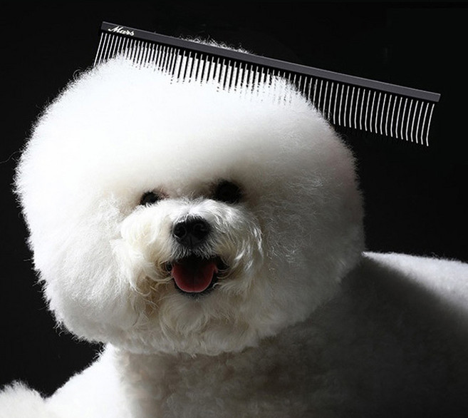 마스알코소 마스 플러쉬콤 반려동물 브러쉬 커브 24.5cm, 1개