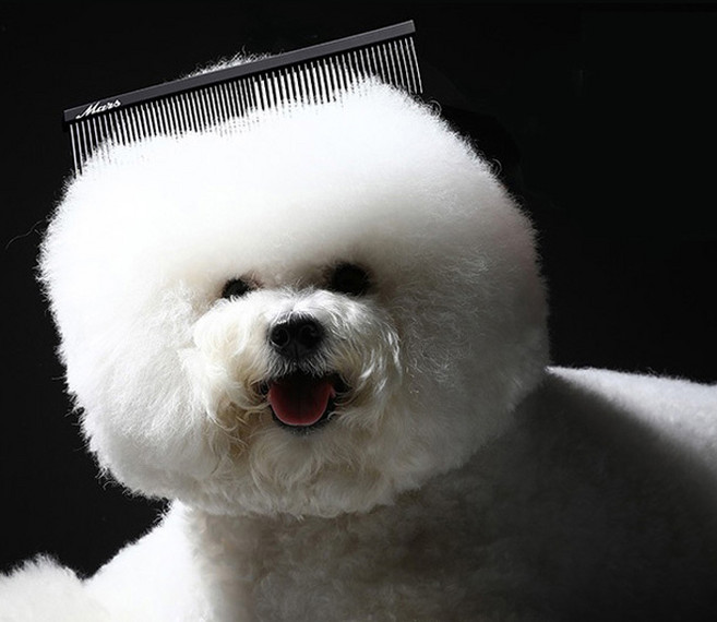 마스알코소 마스 플러쉬콤 반려동물 브러쉬 19cm, 1개