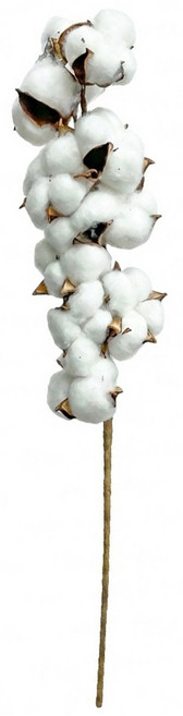 Floral M 花藝 仿真花 家居好物天然木棉花花材, 1個, 白色