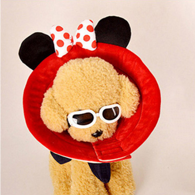 도그아이 강아지 고양이 깔대기 넥카라 쥐순이 3호, 1개