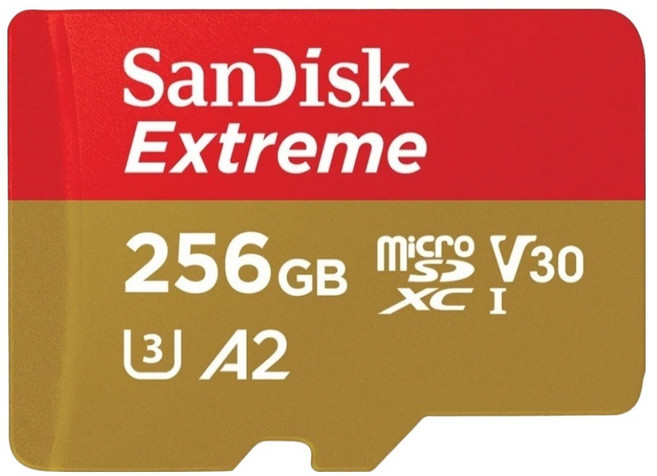 SanDisk 晟碟 公司貨 紅金記憶卡 SDSQXAV GN6MN, 256GB, 1個