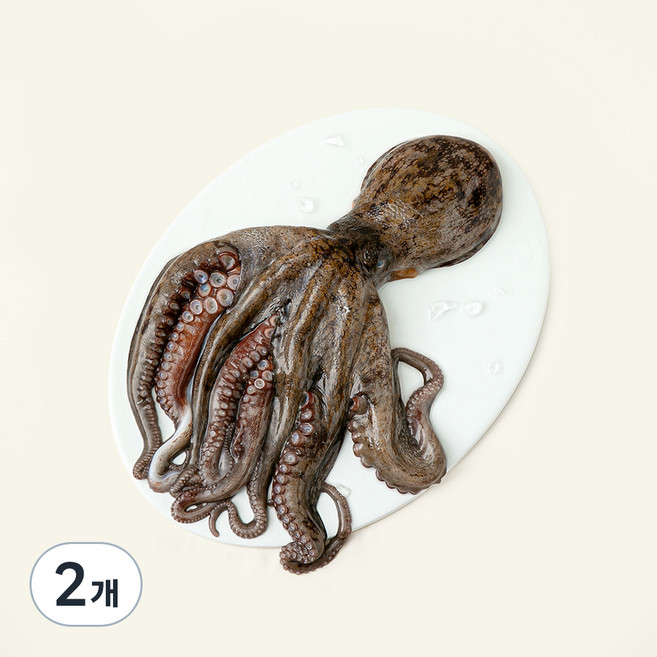 남해안 산지직송 자연산 생물 문어 (냉장), 700g(1~3미), 2개