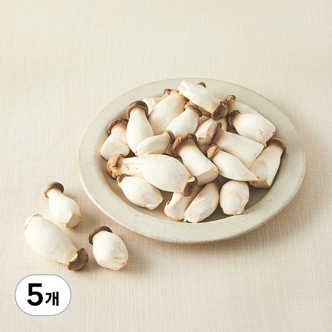 친환경 미니 새송이버섯, 600g, 5개