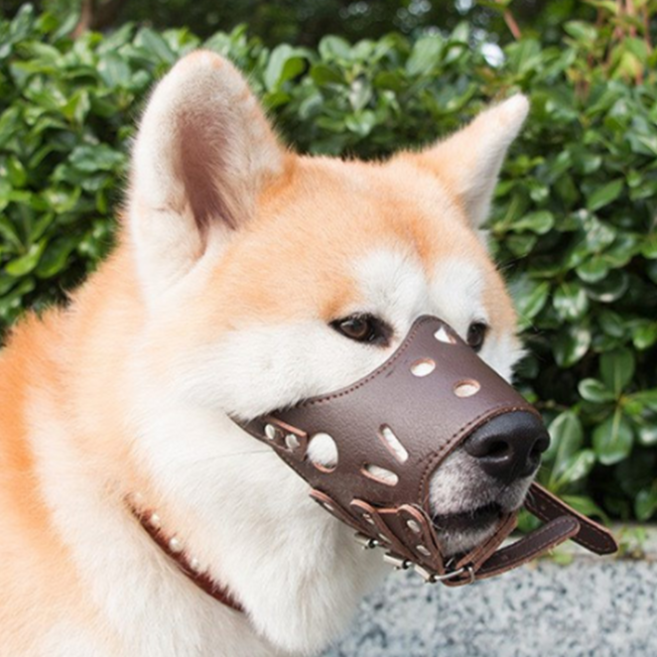 반려동물 훈련용 가죽 입마개 M, 브라운, 1개