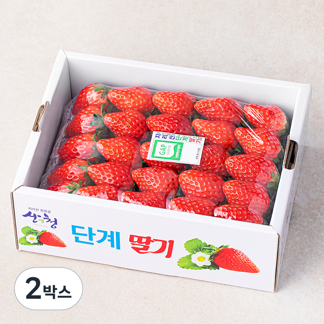 GAP 인증 산청 단계 장희 딸기, 750g, 2박스
