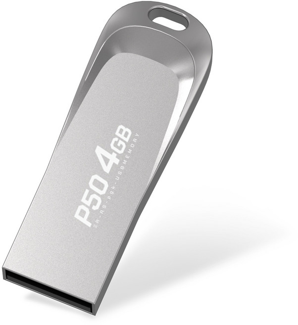 PLEIGO USB 메모리 P50, 4GB, 1개