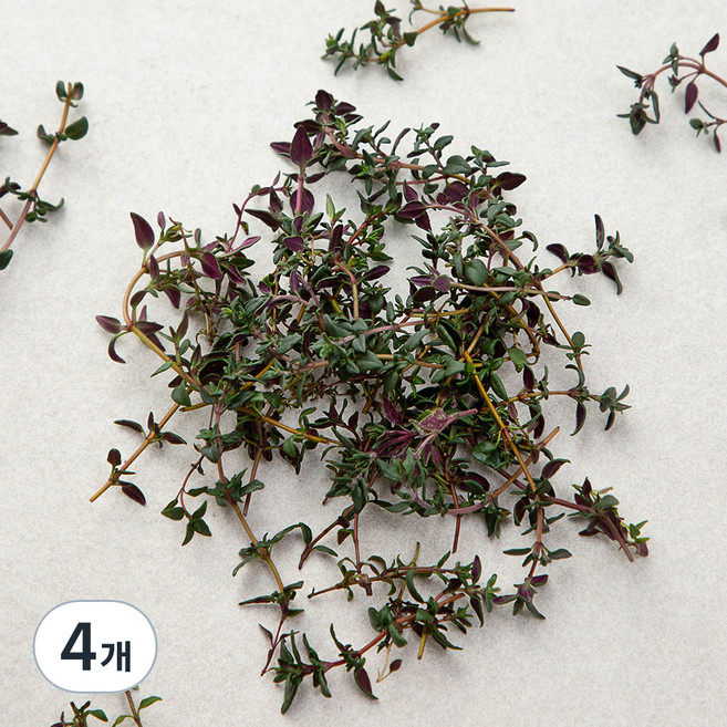 국내산 타임, 10g, 4개