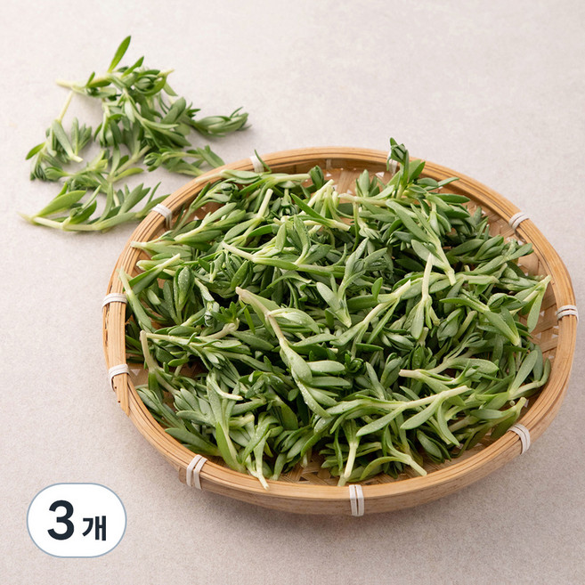 국내산 돌나물, 150g, 3개