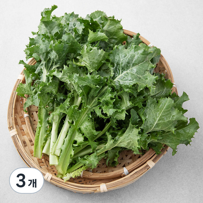 친환경 치커리, 300g, 3개