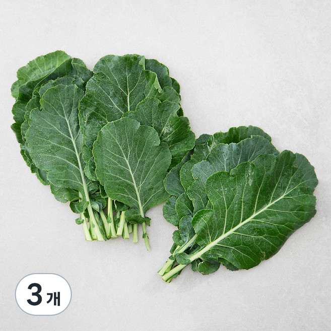 국내산 친환경 케일, 200g, 3개