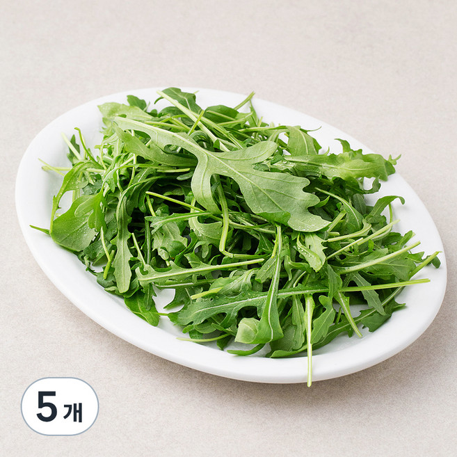 국내산 와일드 루꼴라, 50g, 5개