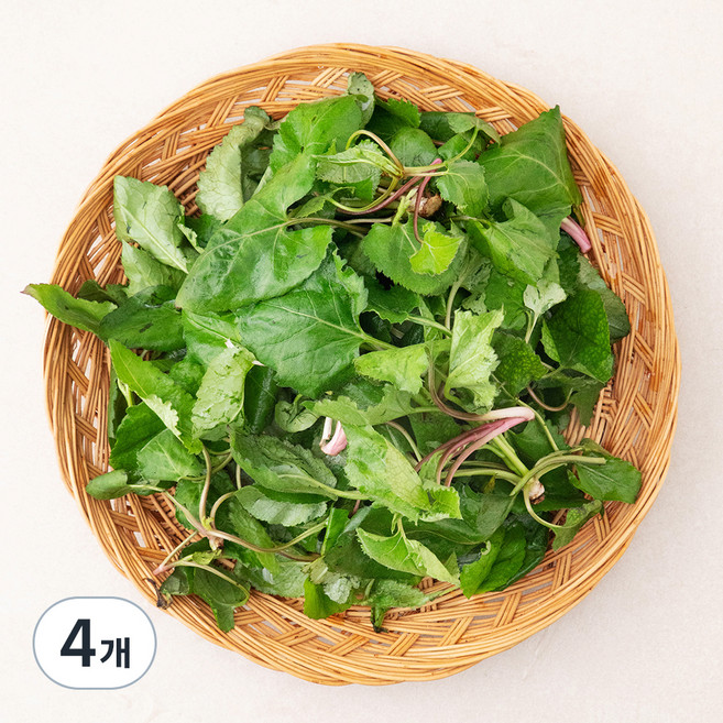 국내산 참취나물, 250g, 4개
